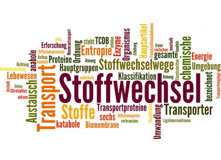 Stoffwechsel und verwandte Themen hier bist du genau richtig